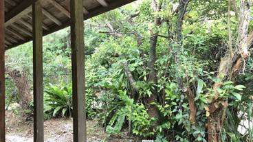 施設からの眺望 / 5