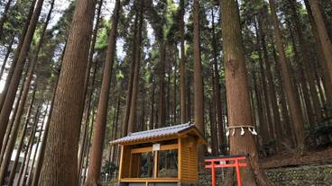 庭園 / 19