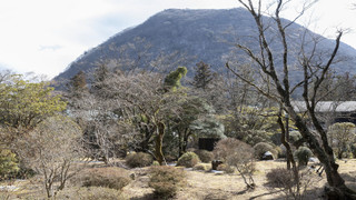 離れ(定員4名 1階「洗心亭」露天風呂付)