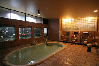 金魚が泳ぐ大浴場、静かにくつろげる宿3968110