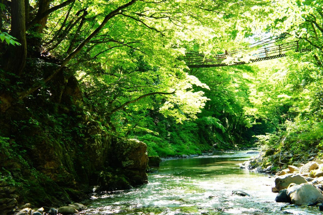 【福井県】知る人ぞ知る奥越前の名橋「池田かずら橋」462265