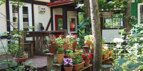 エゾリス君の宿 カンタベリー