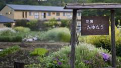 奥州平泉温泉 そば庵 しづか亭