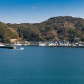 海鮮の宿 まつ浦（大分県 旅館） / 5