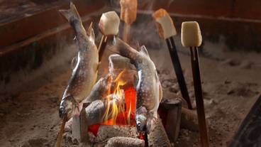 食事・飲み物 / 16