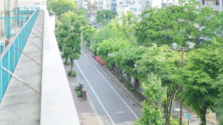 スーペリアツインルームパークビュー 禁煙 24平米