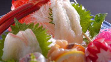 食事・飲み物 / 13