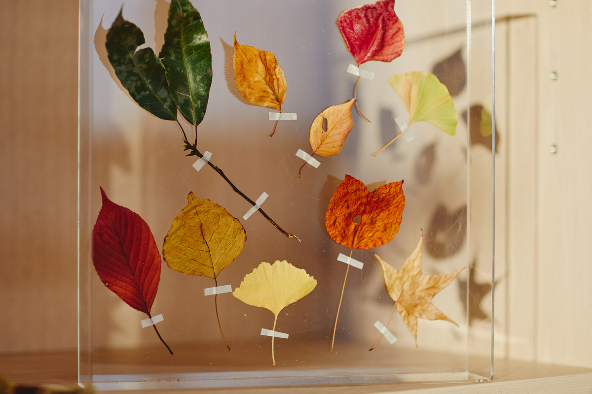 アトリエ マテリアル 落ち葉