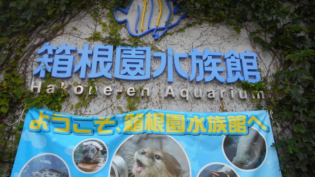 生き物と触れ合える
「箱根園」へ / 1