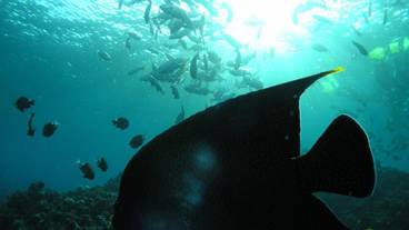 フィットネス設備 / 11