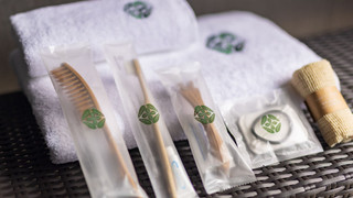 デラックス トリプルルーム 専用バスルーム