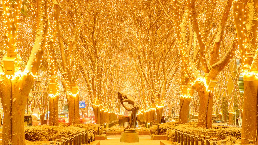 SENDAI光のページェント / 2