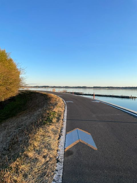 nachos_lovegraphさんの写真 / 8