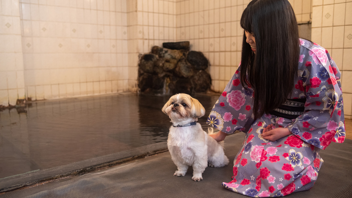 草津温泉 大東館（クサツオンセン ダイトウカン） / 6