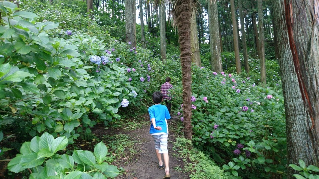 時にはこんな道も。滑りにくい靴がおすすめです！1891133