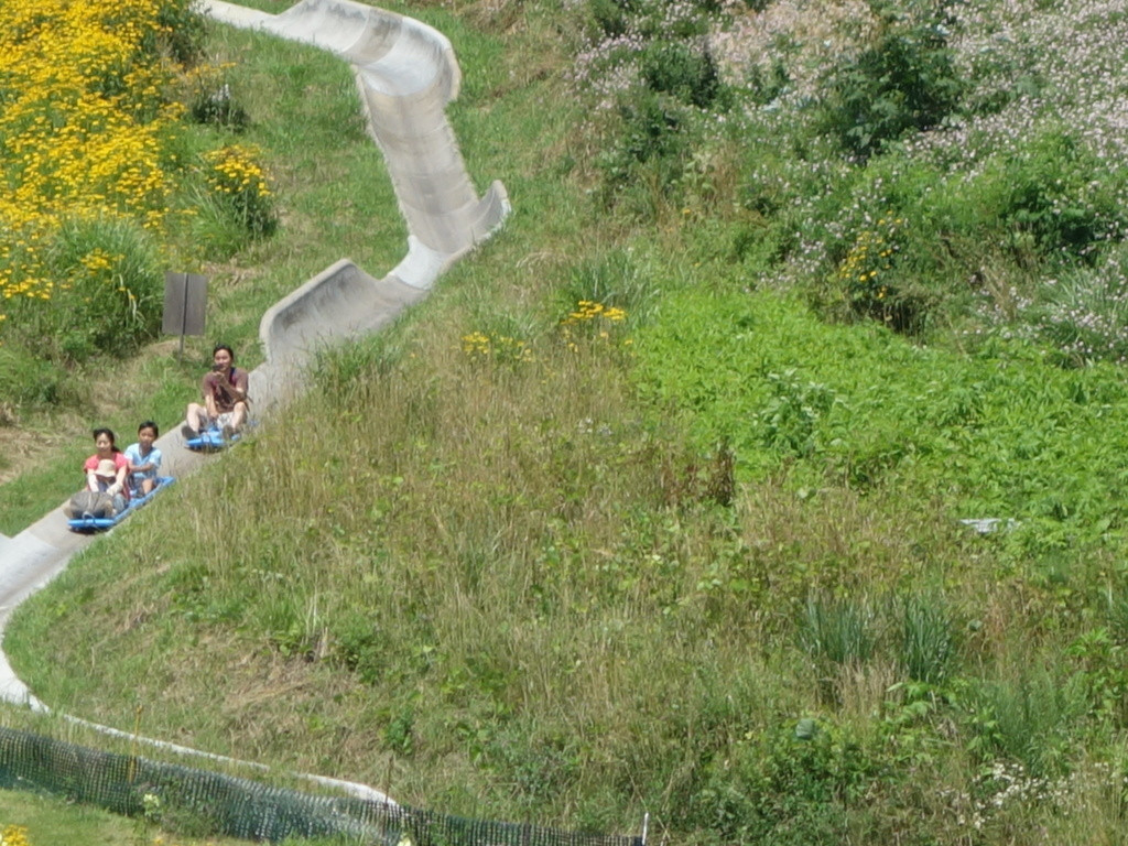 全面ガラス張りのスタイリッシュなホテル！森の中で暮らすような体験を♪3532801