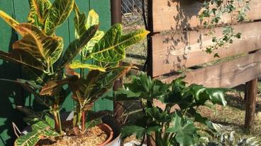 施設の敷地 / 14