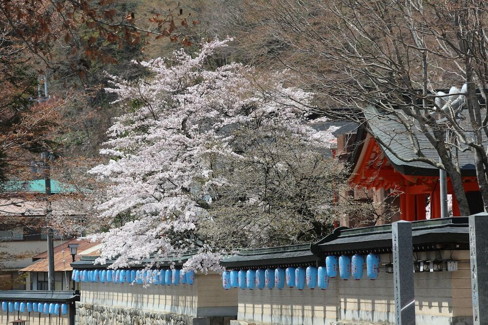 施設からの眺望