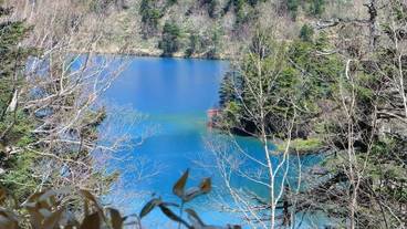 施設の敷地 / 33