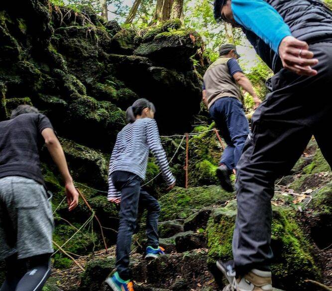 ネイチャーツアー / 3