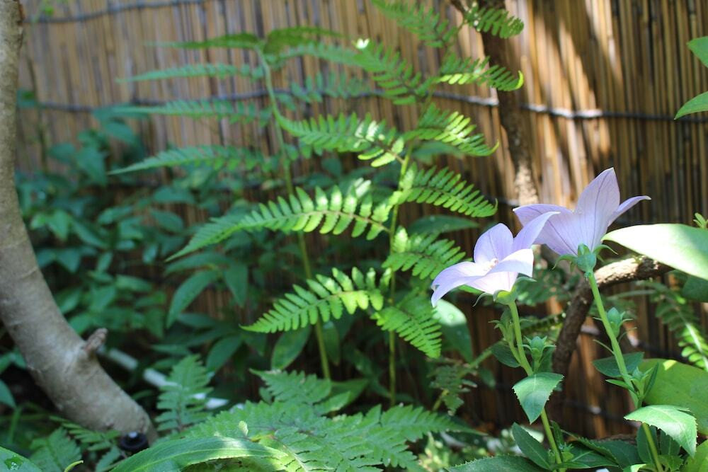 ガーデン ビュー