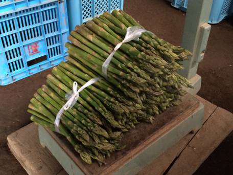 The Vale Niseko（ザ・ヴェール・ニセコ） / 1