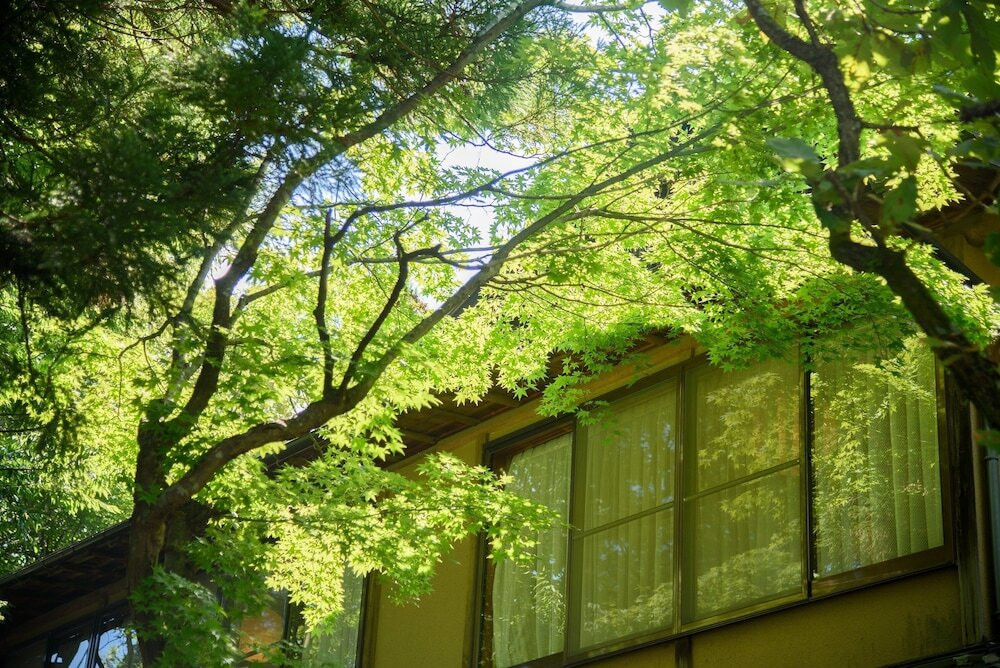 客室からの眺望②
