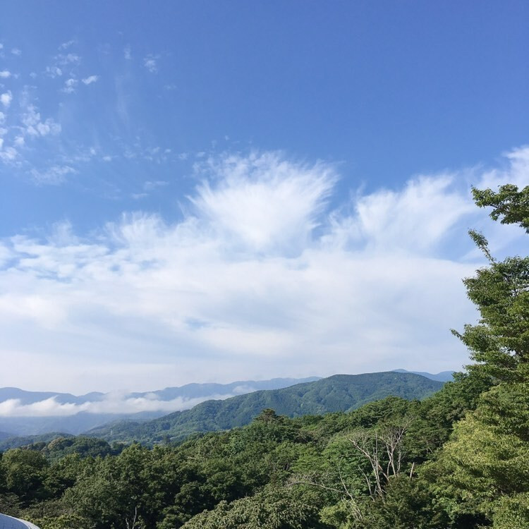 4rerjoseさんの写真 / 1