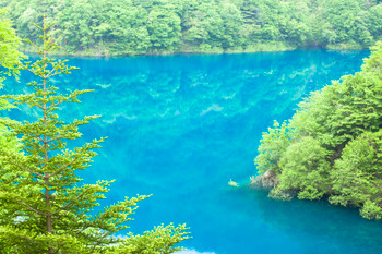 Fresh green Okushima Lake