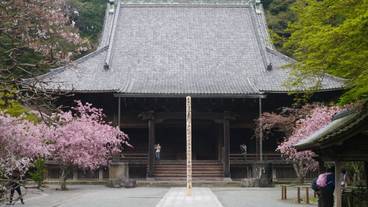 観光スポット / 16