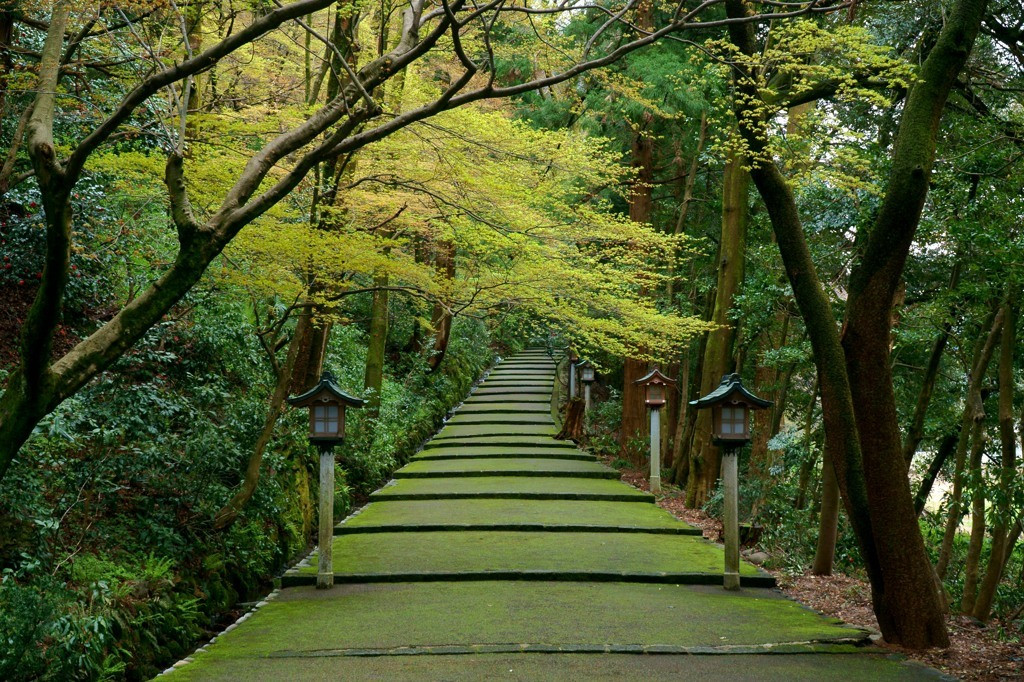 「白山比咩神社」には女神様がいるんです♪1665205