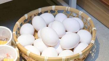 朝食ビュッフェ / 13