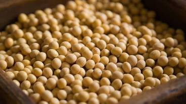 食事・飲み物 / 22