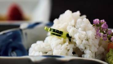 食事・飲み物 / 14