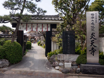 4．小林一茶ゆかりの寺でカエルがお待ちかね「炎天寺」2348065