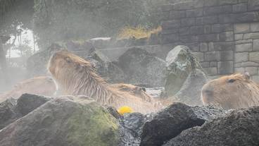 観光スポット / 3