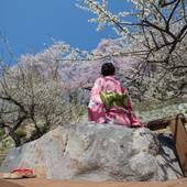 赤湯温泉 上杉の御湯 御殿守(山形県 旅館) / 4