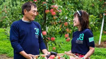 施設の敷地 / 26