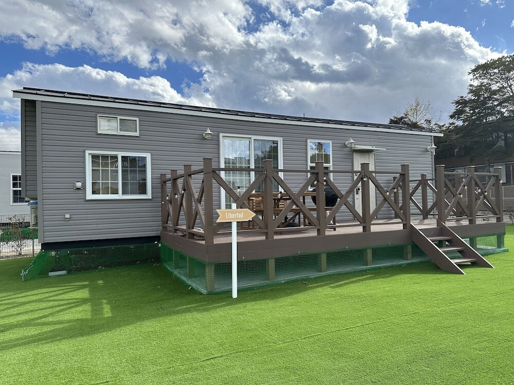 マウンテン ビュー