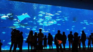 施設からの眺望 / 17