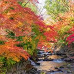 温泉に紅葉、グルメ…秋の魅力いっぱい！週末ドライブで行きたい温泉地
