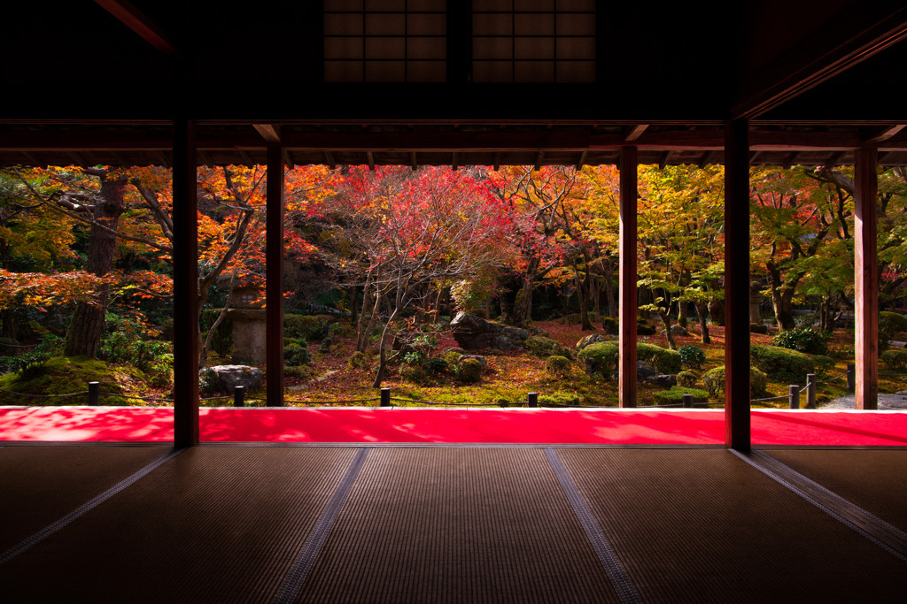 心穏やかな時間が流れる...尼僧が修行していたお寺1772102