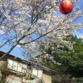湯平温泉 宿彩 暁雲荘（大分県 旅館） / 5