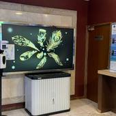 ホテルパシフィック ビュー（沖縄県 別荘・ヴィラ・コンドミニアム） / 2