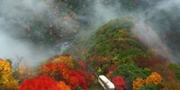 ケーブルカーで谷を下って行く温泉!?「祖谷温泉」の秘湯感がスゴイ！