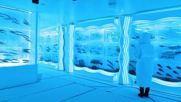 観光スポット / 8