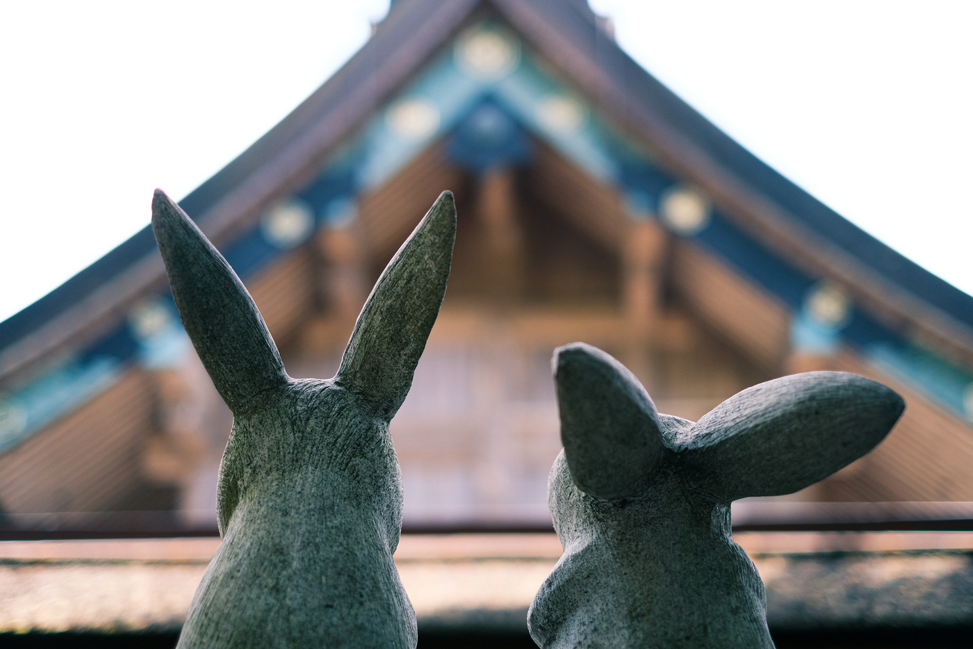 出雲大社本殿を見つめる因幡の白兎