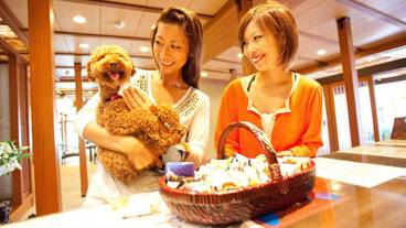 内部エントランス / 3