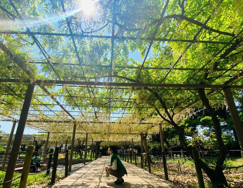 manatabigramさんの写真 / 2