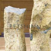 BETSU INN（長野県 コテージ・ロッジ・一棟貸） / 3